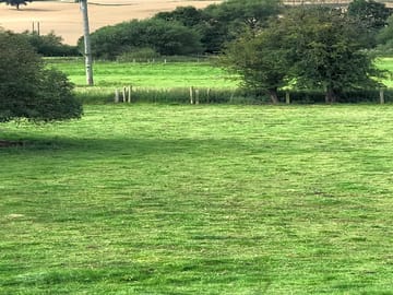 Level-grounded pitches