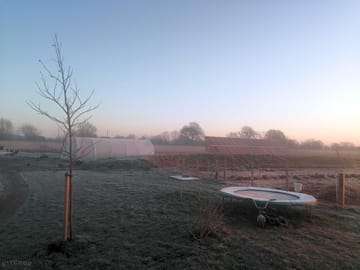 View of the site on a frosty morning