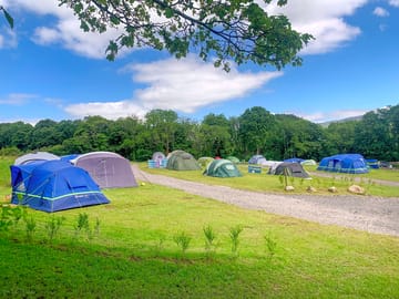 View of the site
