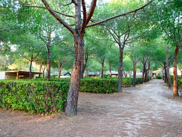 Shaded pitches