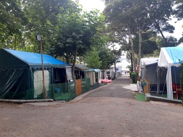General view of the site