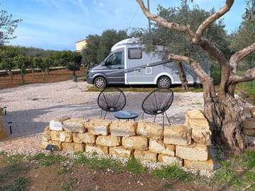 Pitch with olive-grove views