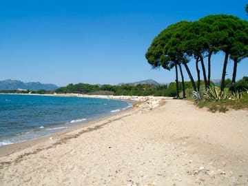 Our beach