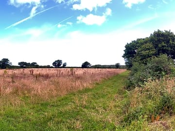 View of the site