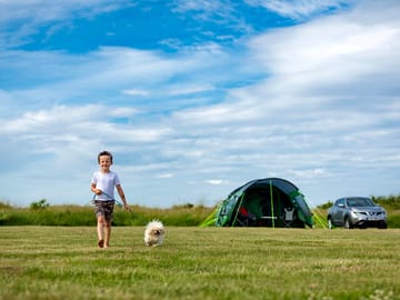 Dog walking areas