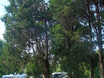 Shaded property