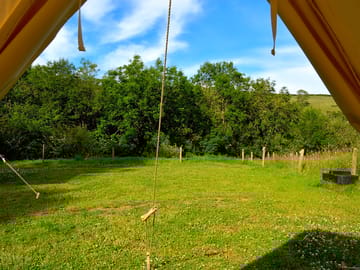 View from the tent
