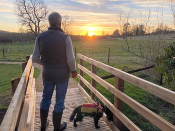 Dog-friendly site at sunset