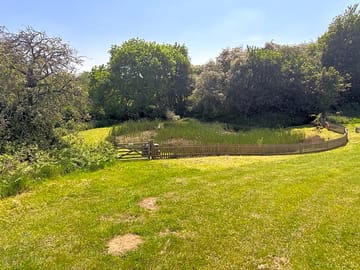 Peaceful pond