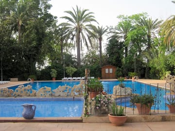 Pool surrounded by palm trees