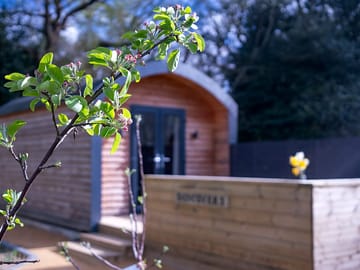 Our beautiful discovery pod