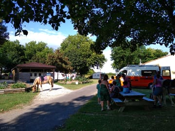 There's a food truck on site twice a week