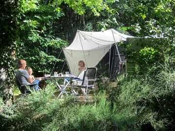 Private pitches among the trees