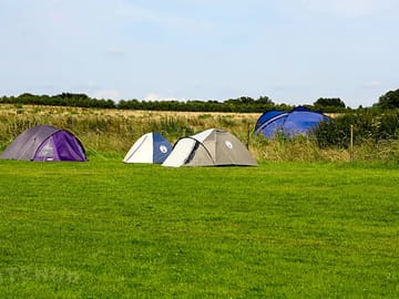 Tent pitches