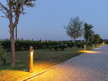 Night lights