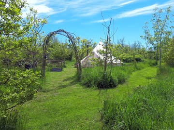 Approach to Strawberry
