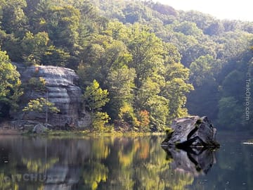 Wayne national forest