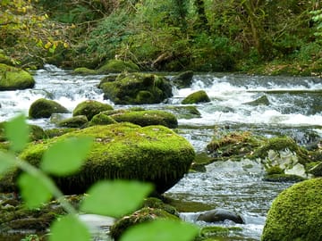 River dwyfor