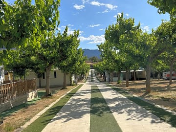The main road through the site