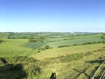 Local views
