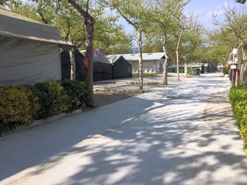 Road through the site