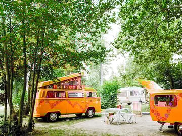 Pitches in the trees