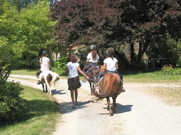 Pony rides on the estate
