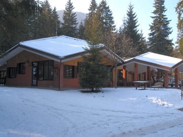 In the snow