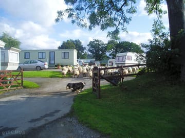 Stay on working farm