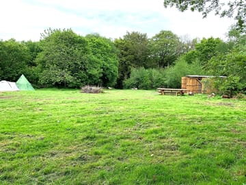 The site