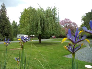 Well-kept pitches