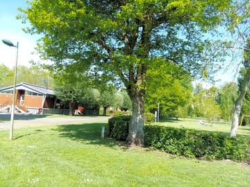 Playing area