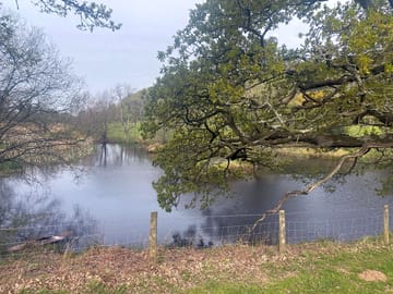 Fishing available on site