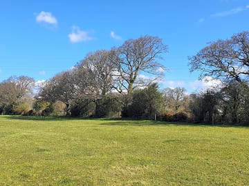 Pitching field