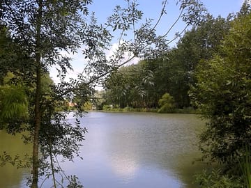 Fishing pond opposite the site