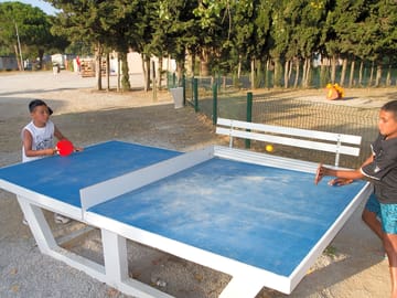Ping pong table
