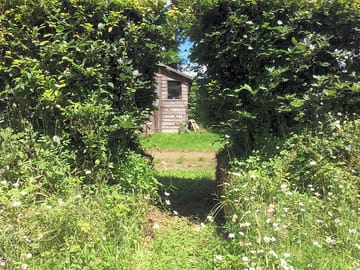 Doorway into the woods