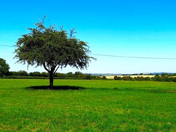 Get closer to nature at coombe down farm