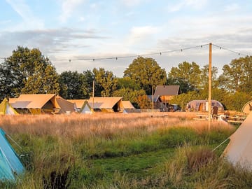 The site