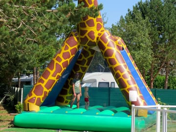 A bouncy giraffe for children
