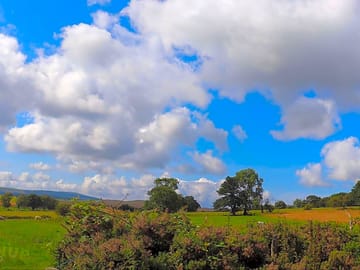 Rural scenery