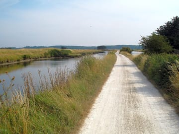 A shared walking and cycling path