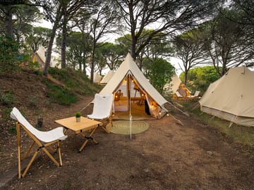 Bell tents under the trees