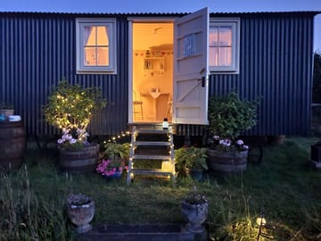 Fairy lights
