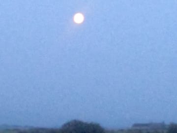 Sat outside the tent watching the full moon