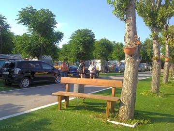 Road between the pitches