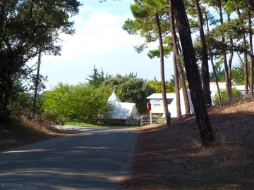 Welcome to the site