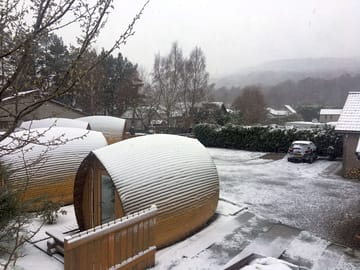 Pods in winter