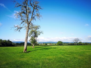Book with us today for your next camping trip!