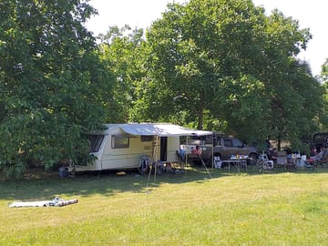 Enjoying the campsite shade